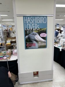 HASHIBIRO LOVERsのポスター