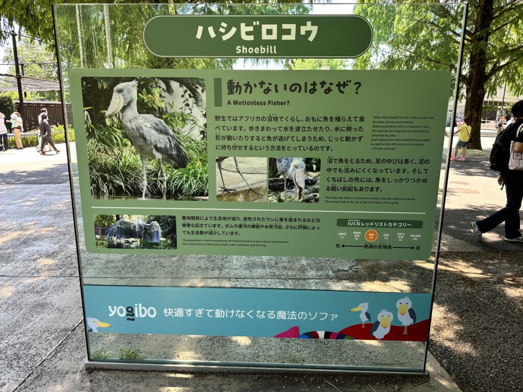 ハシビロコウ展示場前の看板