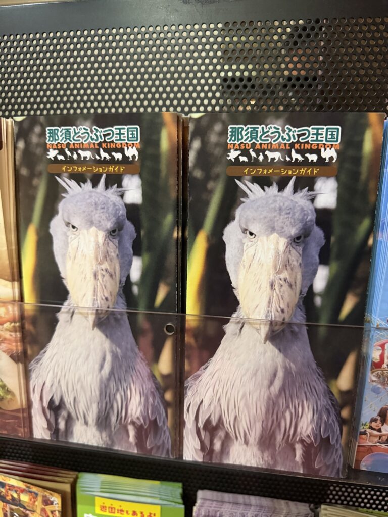 那須どうぶつ王国のパンフレット