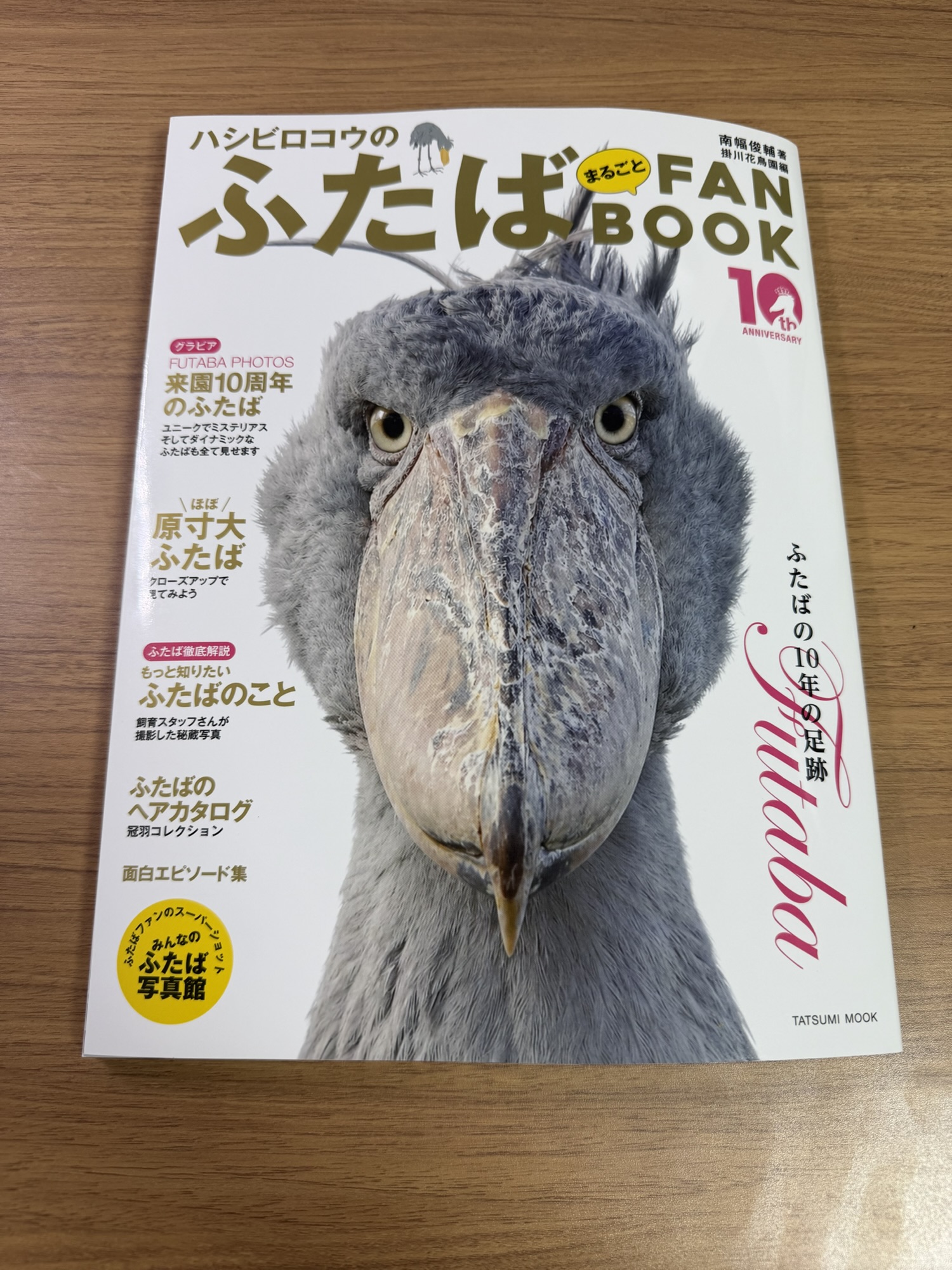 ふたばページ 祝・来園10周年】掛川花鳥園ハシビロコウ「ふたば」FAN BOOKレビュー