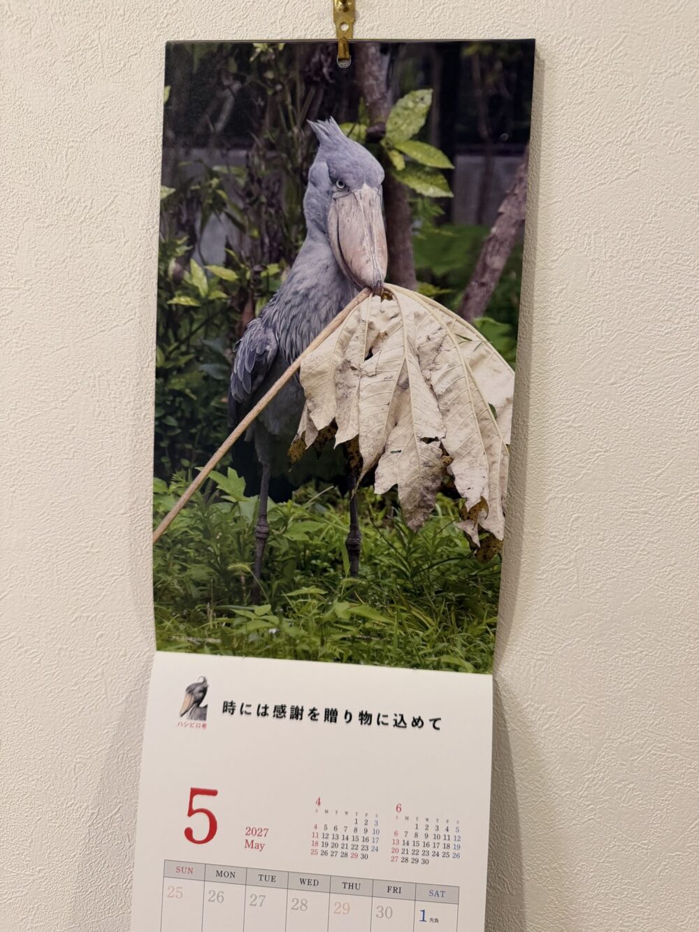 2027年ハシビロコウカレンダーの5月のページ。のいち動物公園のささ